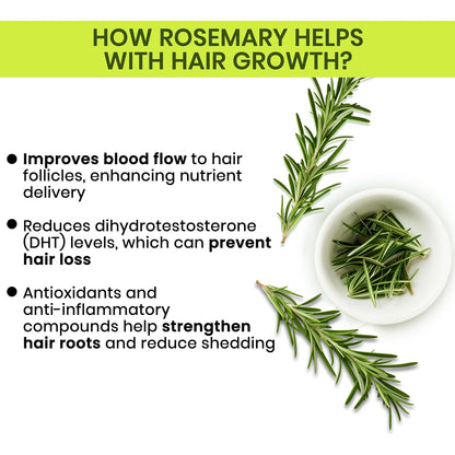 Rosemary Water | Hair Spray For Regrowth