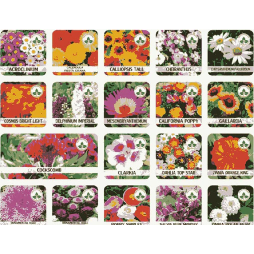 Mix Flower Seeds (Pack of 100)